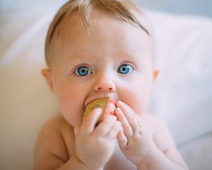 Baby Development By Month